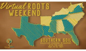 blue and yellow map of the southern states with text virtual roots weekend.