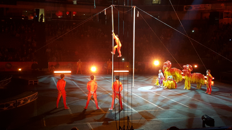 circus acrobats performing 