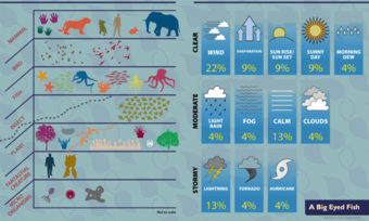 A graph depicting several animals and climates.