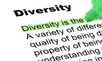 Dictionary entry for Diversity.