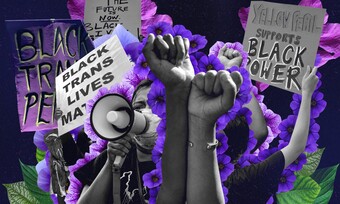 An illustration of protest signs with slogans reading Black Trans Lives Matter