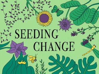 Yellow flowers, purple flowers, dark green leaves, and insects surrounding the words "Seeding Change" against a light green background.