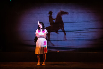 An actress stands onstage in front of a shadow puppet of a man on a horse.