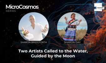 A promotional graphic for MicroCosmos.