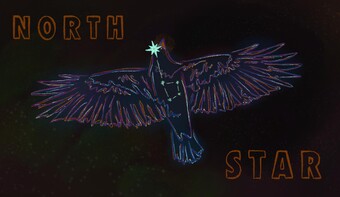 An image of a bird and the words North Star.