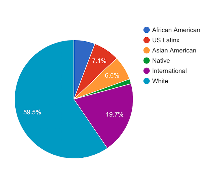 Pie chart with a demographic breakdown of US population.