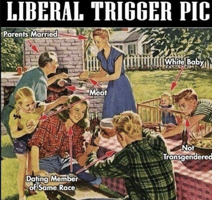 illustration of family at picnic, entitled Liberal Trigger Pic