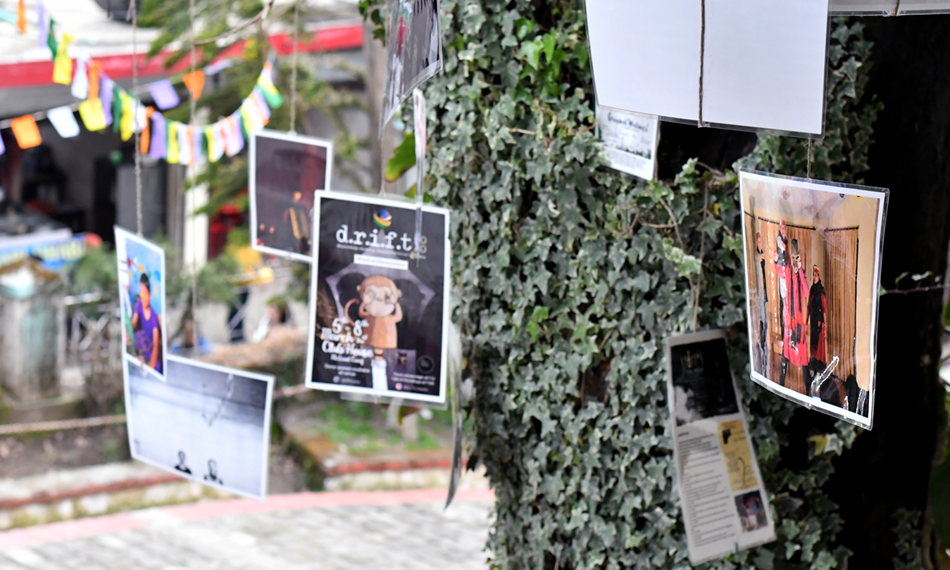 notes and postcards hanging from a tree