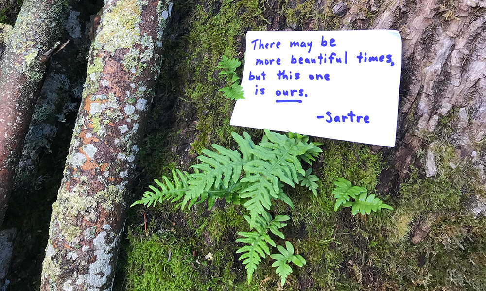 post card on a tree of a sartre quote.