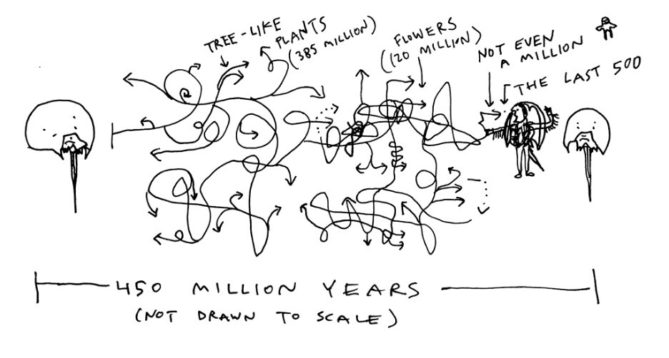 A chaotically drawn timeline of life on Earth, featuring horseshoe crabs.