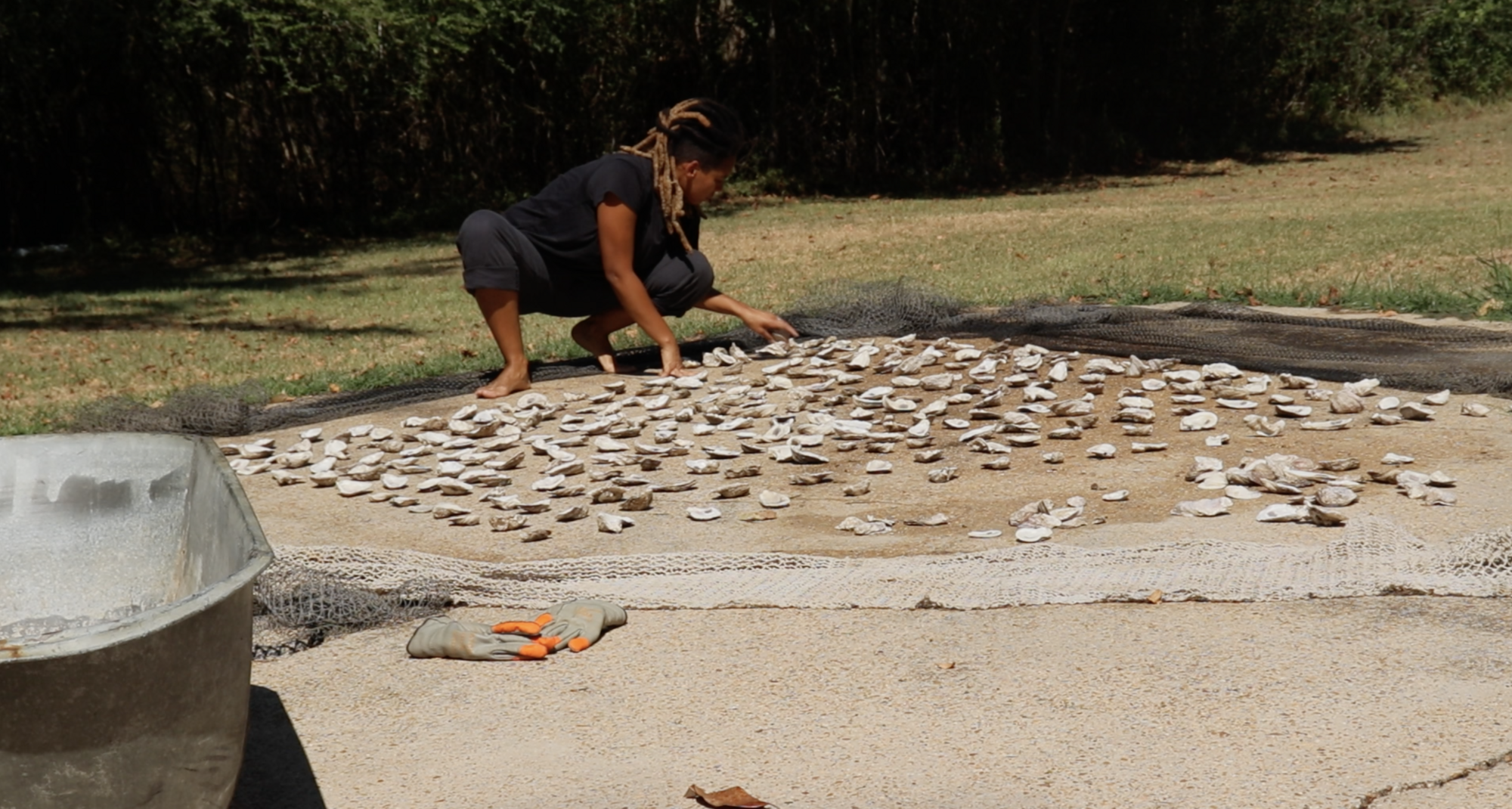 A person crouching outside looking at shells laid out on concrete.
