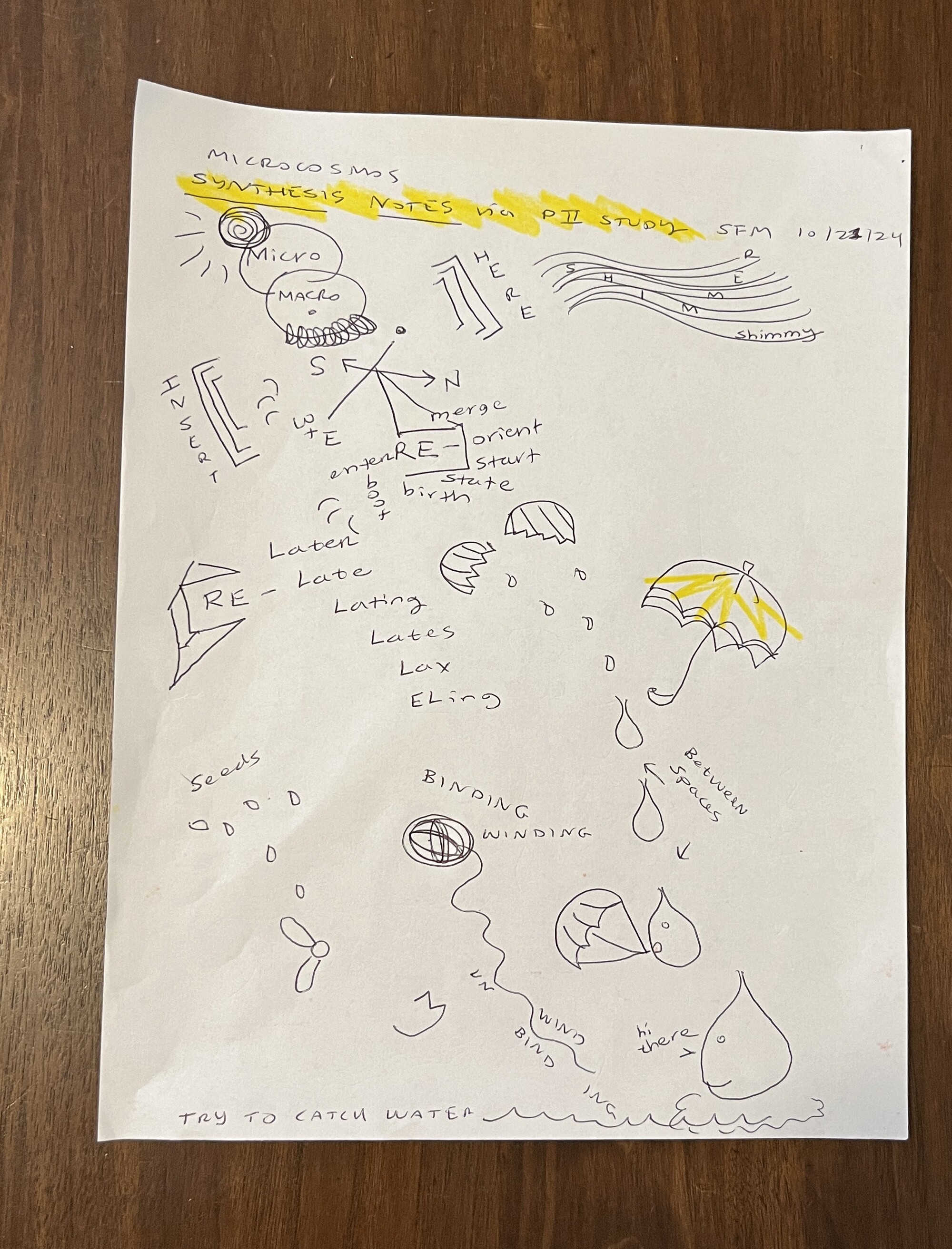 Sketches and notes from a MicroCosmos meeting.