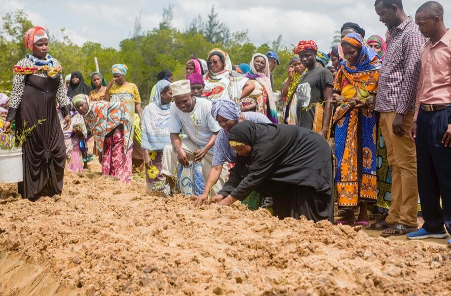 A group of Kenyans planting trees. 