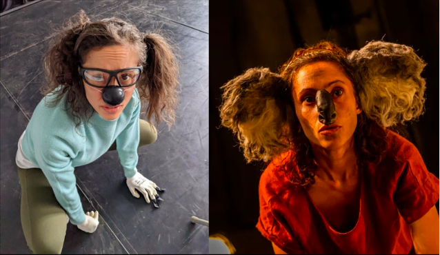 A collage of two images of a person dressed as a koala. 