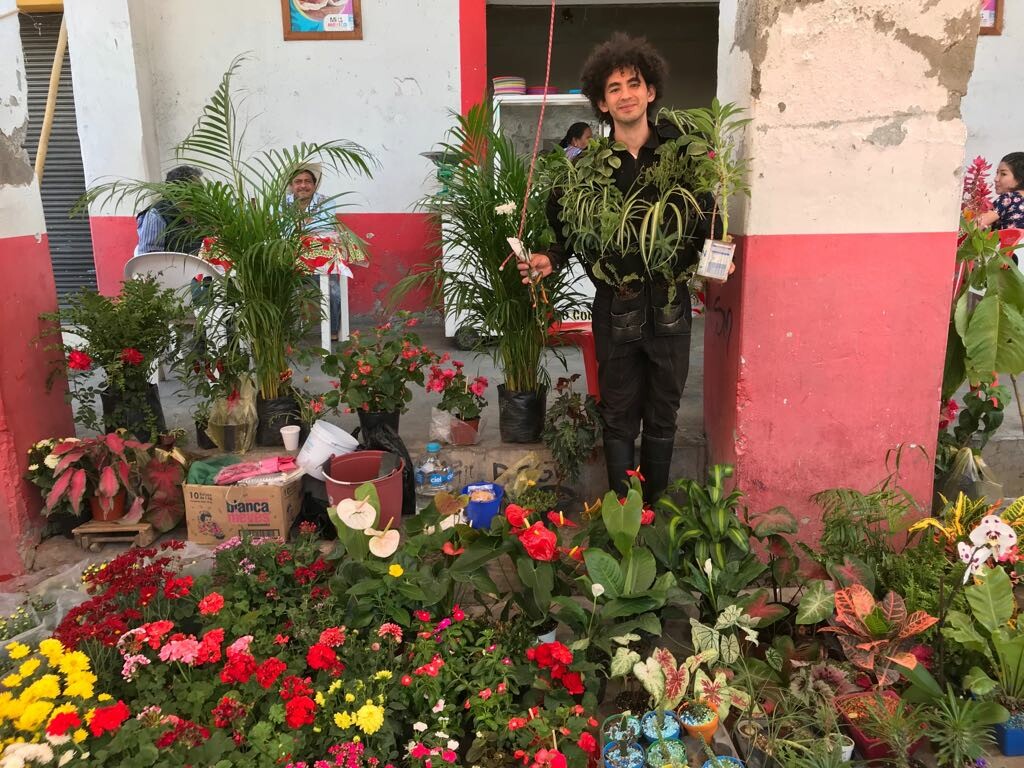 A person surrounded by plants and flowers.