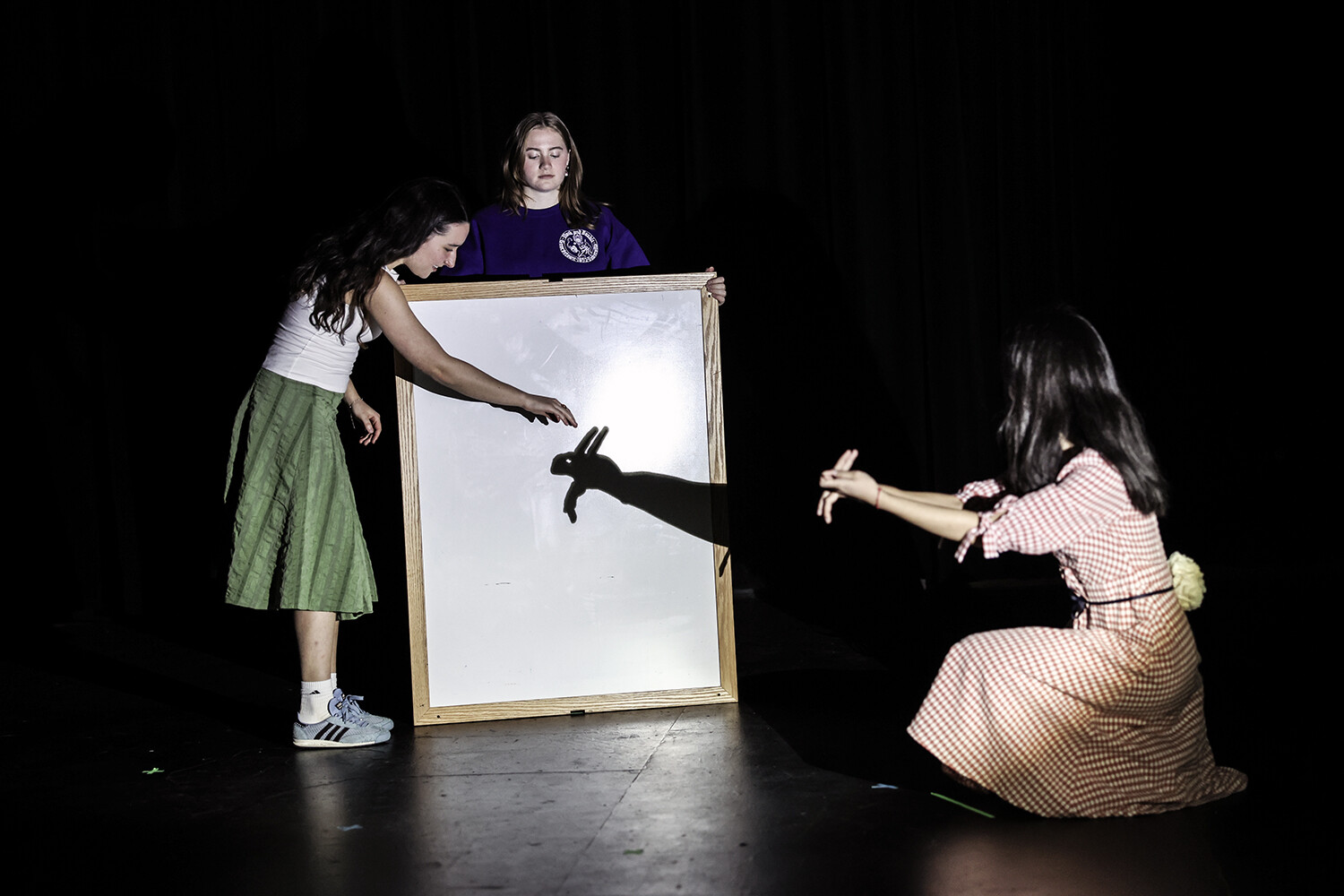 On stage, two people watch another person make shadow puppets.