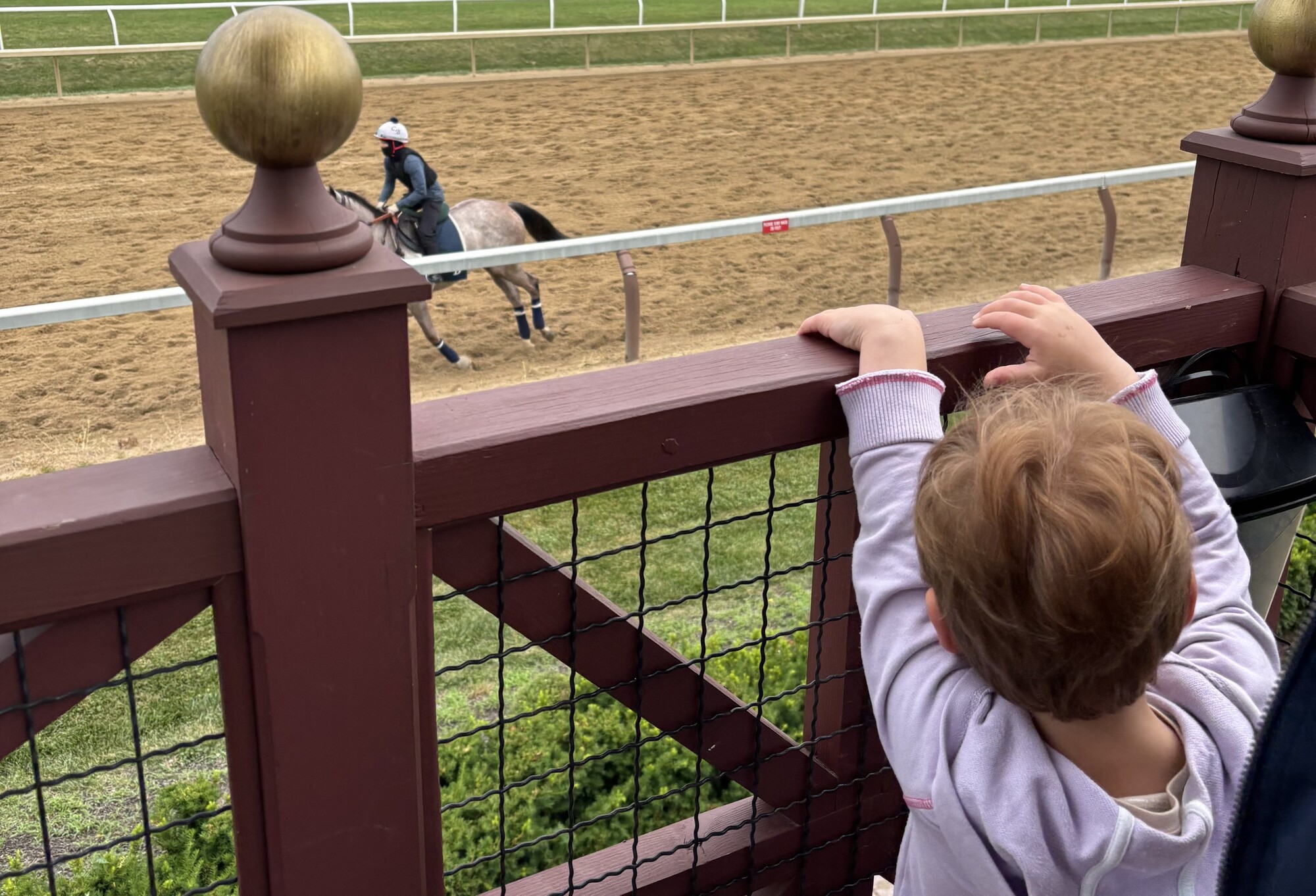 A child watched a horse go by on a racetrack.