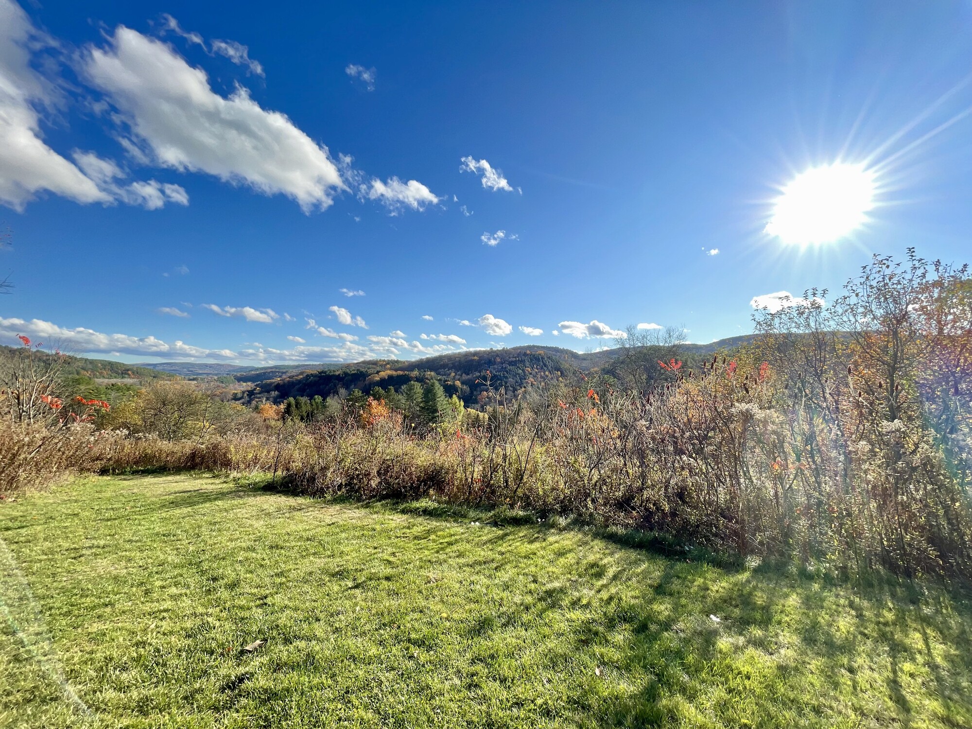 A beautiful landscape of foliage on a mountain.
