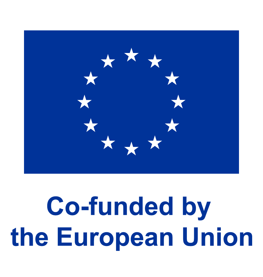The European Union flag.