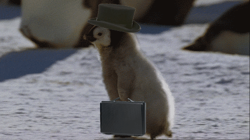 GIF of a baby penguin with a hat and briefcase edited onto it walking.
