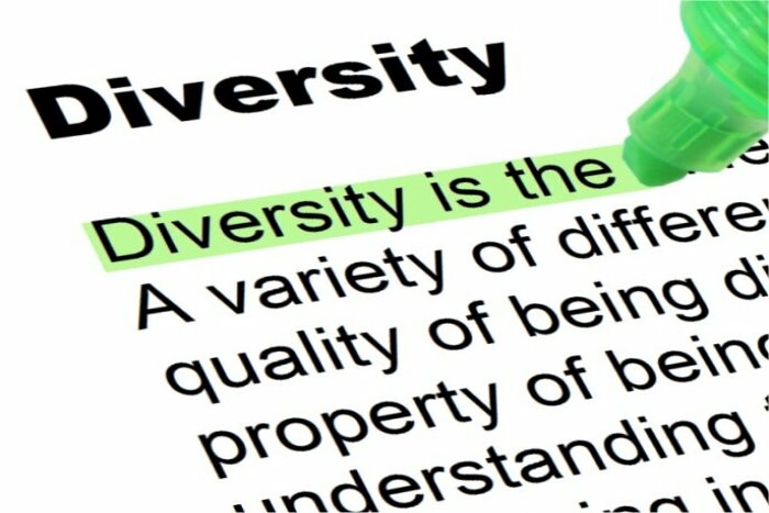A partially highlighted definition of diversity.