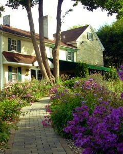 A brick sidewalk lined by flower bushes leads toward a house.